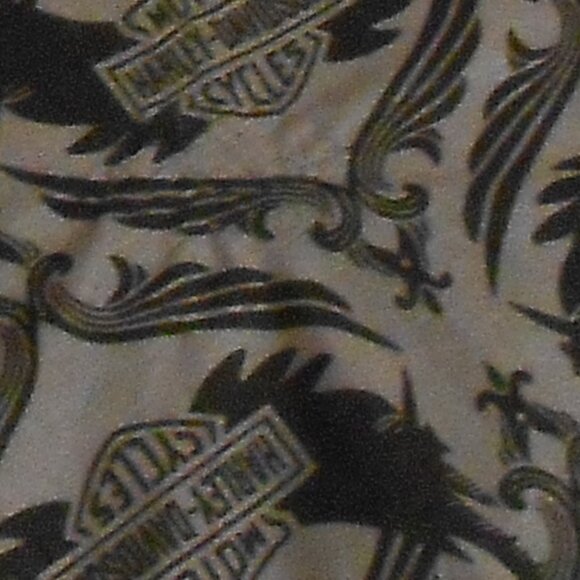 **SALE** Harley-Davidson Semi-Sheer Long Sleeve Top - Picture 2 of 10